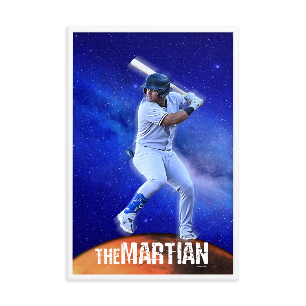 The Martian Framed poster